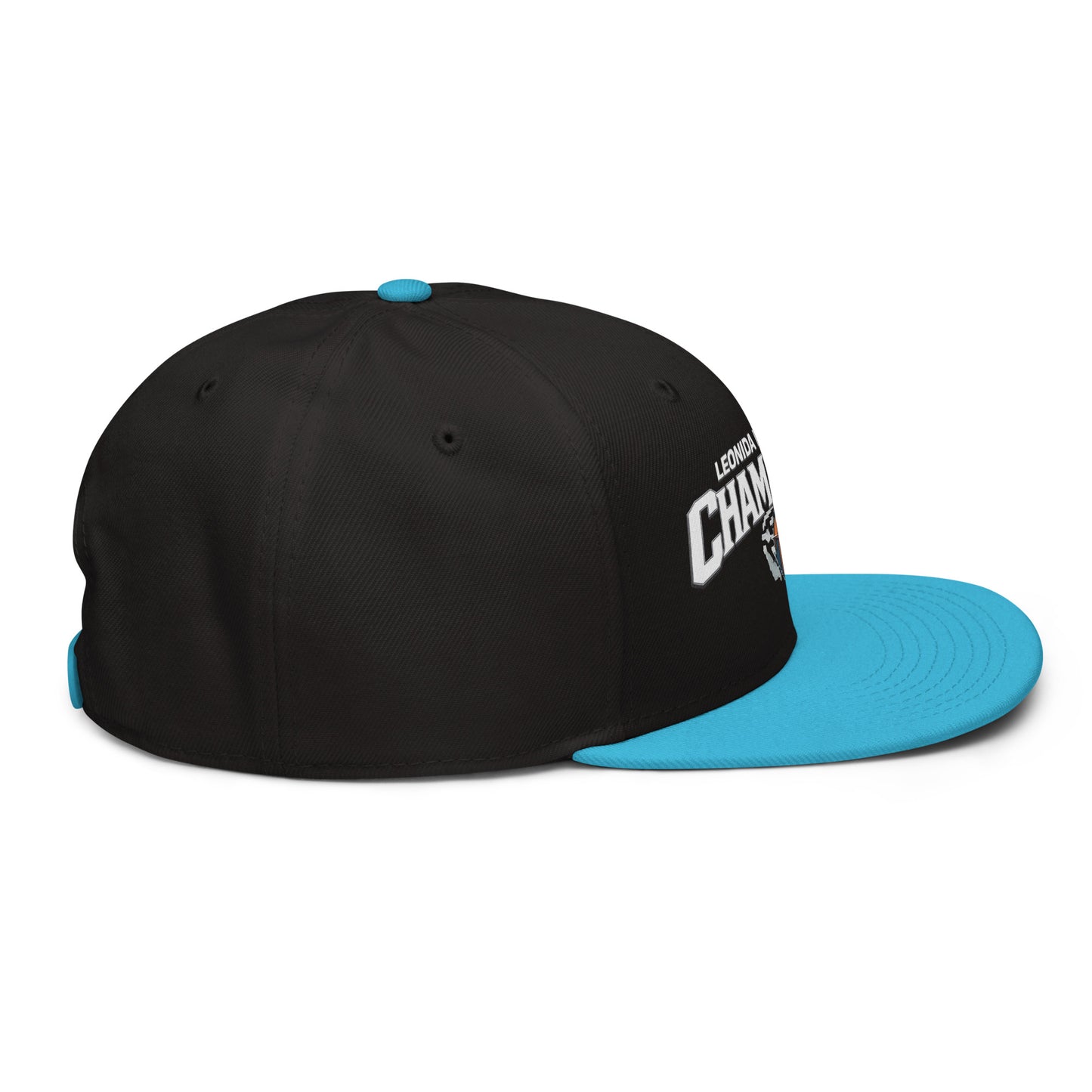 Dre'Quan Vice City Narcos Leonida National Champions Snapback Hat GTA 6 Merch (aqua colorway) back view